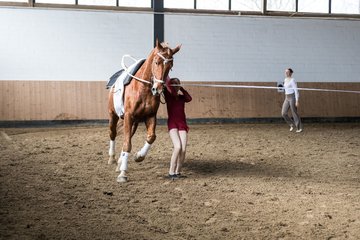 Bild 535 - Voltigierturnier